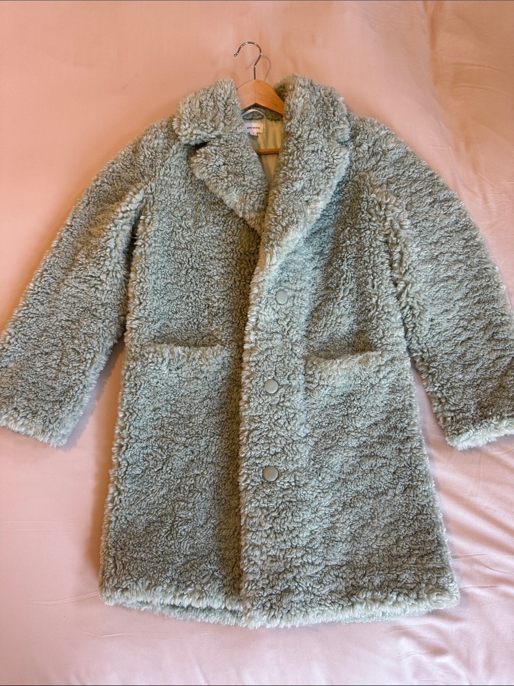 Song of Style Mint Green Faux-Shearling Teddy Coat